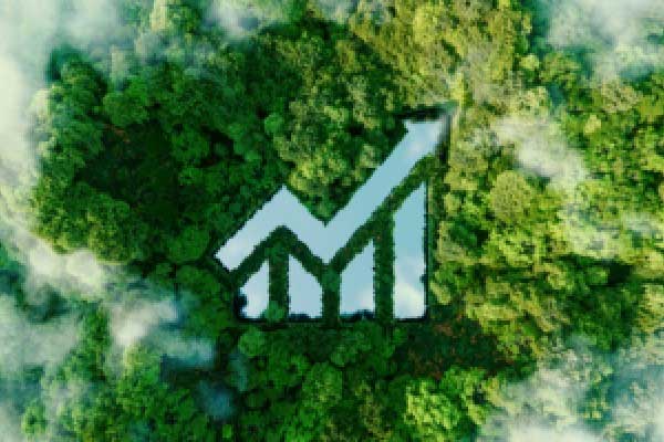 东山精密：千亿市值背后有几张“王牌”？